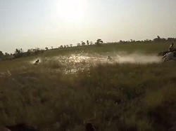 Jatuh dari Kuda, Traveler Berhadapan Langsung dengan Singa di Botswana