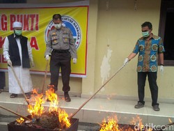 Polrestabes Medan Musnahkan 15 Kg Ganja dan 10 Kg Sabu
