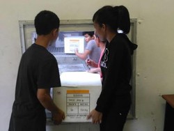 BUMN Ini Mulai Ekspor Ikan dari Bitung dan Maumere