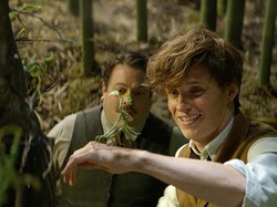 5 Alasan Harus Nonton Fantastic Beasts and Where to Find Them