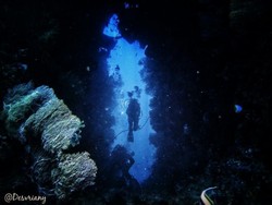 Potret Bawah Laut Banda yang Indah Nian