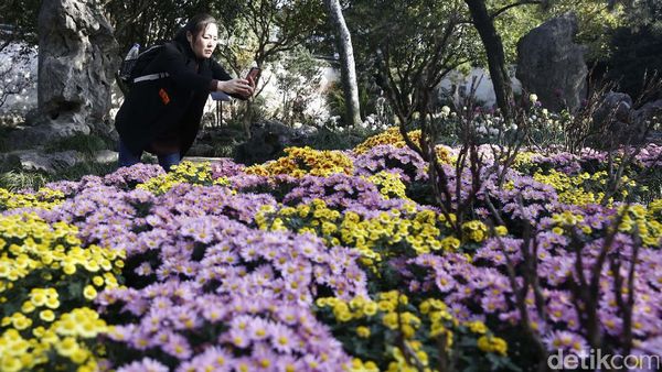 Ternyata China Punya Taman Bunga Secantik Ini