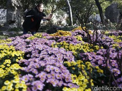 Wonderful Indonesia Siap Tebar Pesona di Festival Musim Semi China