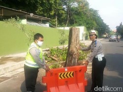 Polisi Pasang Separator di Pohon Maut Jalan Setail Surabaya
