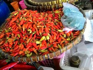 Harga Cabai Melonjak Hingga Rp 90.000/Kg, Untungkah Petani?