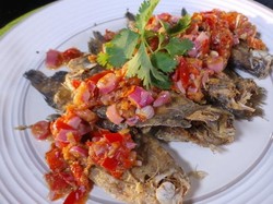 Huah, Sedapnya Makan Nasi Hangat dengan Aneka Sambal Ikan yang Pedas!