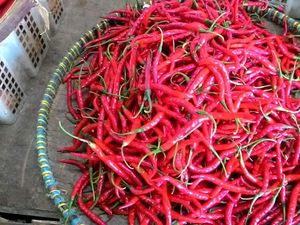 Musim Hujan, Harga Cabai Meroket Rp 60.000/Kg