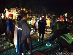 Hujan Deras di Yogyakarta, 4 Rumah Rusak Berat dan Ratusan Pohon Tumbang