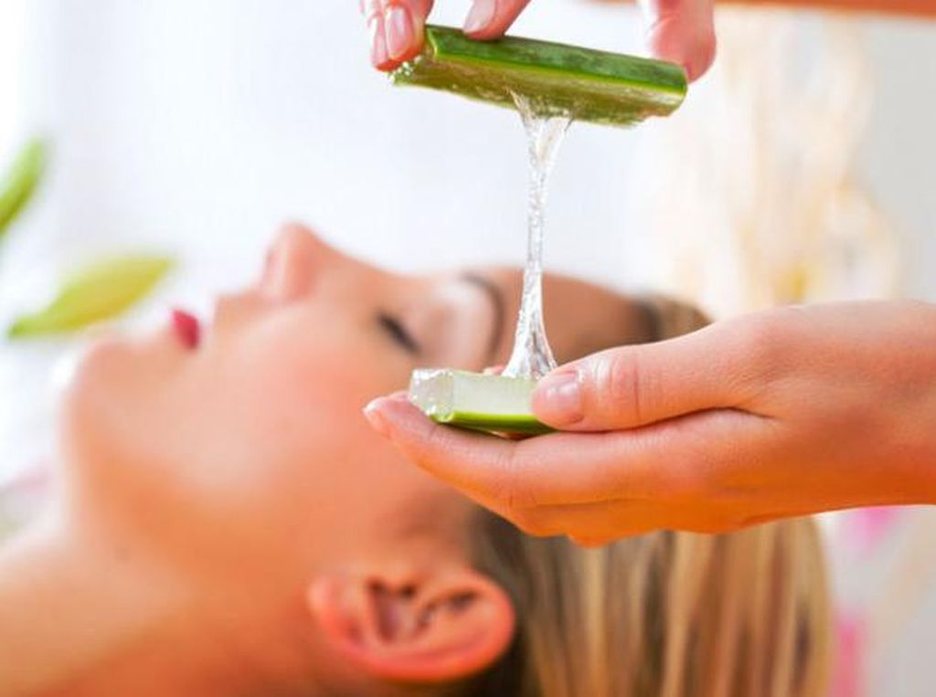 Tak Hanya untuk Skincare, Aloe Vera Juga Ampuh untuk Obati Luka Tak Hanya untuk Skincare, Aloe Vera Juga Ampuh untuk Obati Luka