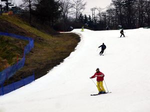 Hokkaido Catat Rekor Salju, Hampir 90% Pemain Ski Hilang Hokkaido Catat Rekor Salju, Hampir 90% Pemain Ski Hilang