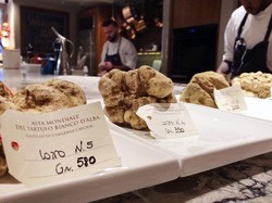 Pada Pelelangan Serentak di 2 Negara Ini, Jamur Truffle Laku Terjual hingga Rp 1,5 Miliar!