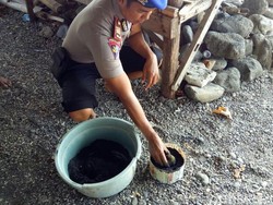 Granat Nanas Aktif Ditemukan di Pantai Watudodol