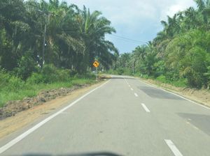 Bangun Jalan di Perbatasan, Pemerintah Akui Sempat Menuai Banyak Kritik