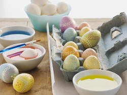 Daging Kalkun Diolah Jadi Masakan Enak, Mengapa Telur Kalkun Tak Dikonsumsi?