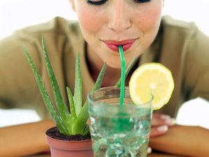 Minum Jus Lidah Buaya Jadi Tren Kesehatan di TikTok, Pakar Ungkap Bahayanya Minum Jus Lidah Buaya Jadi Tren Kesehatan di TikTok, Pakar Ungkap Bahayanya