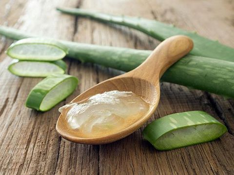 10 Manfaat Luar Biasa Aloe Vera untuk Kulit Wajah