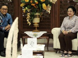 Zulkifli Hasan Imbau Tak Ada Aksi Demonstrasi di 2 Desember