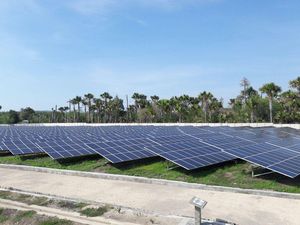 PLN: Kami Heran Listrik dari Matahari di Arab Hanya Rp 390/kWh