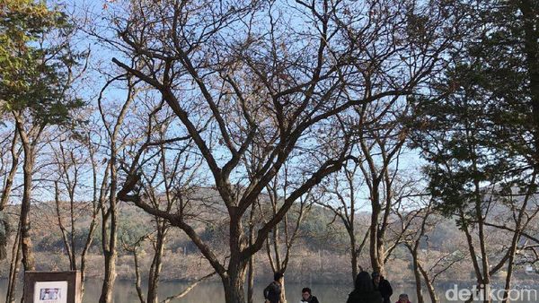 10 Negara dengan Internet Tercepat Sejagat