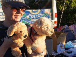 Pemilik Anjing di Brisbane Diberdayakan Bantu Polisi Ungkap Kejahatan