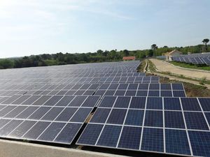 Harga Listrik dari Pembangkit Tenaga Surya Seharusnya Rp 780/kWh