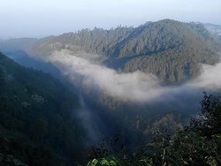 5 Pilihan Wisata Alam Menarik di Taman Maribaya Bandung