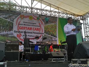 Mentan: Banjir Tak akan Ganggu Produksi Beras Mentan: Banjir Tak akan Ganggu Produksi Beras