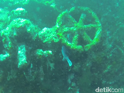 Bukan Hanya Karang, Bali Juga Punya Kapal Karam yang Jadi Spot Diving