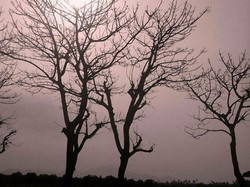 Piknik ke Pulau Panjang Banten, Meski Terbatas Tapi Seru!