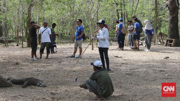 Pulau Komodo
