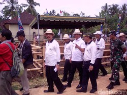 1.000 Anak Sapi Hasil Inseminasi Buatan Dipanen di Bali