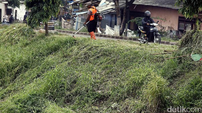 Pasukan oranye menyiangi rumput (Foto: Rengga Sancaya)