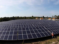 Belajar Soal Listrik Tenaga Surya, Jonan Akan ke Uni Emirat Arab