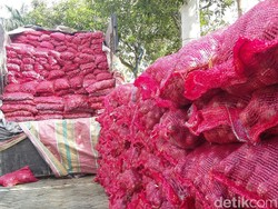 Polda Sumut Gagalkan Penyelundupan 18 Ton Bawang Merah Asal India