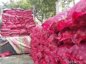 Bawang Merah Palsu yang Masuk RI dari India Bawang Merah Palsu yang Masuk RI dari India