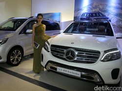 Mercy Tak Gentar dengan Kebijakan Donald Trump