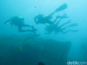 Ini Saran Buat Pemerintah Selamatkan Wisata Selam Ini Saran Buat Pemerintah Selamatkan Wisata Selam