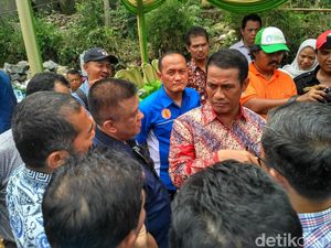 Harga Bibit Ayam Naik, Mentan Tegur Perusahaan Pemasok