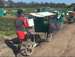 Senat Australia Setujui Pajak Backpacker 10,5 Persen