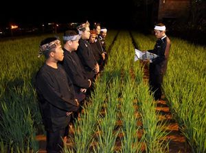 Bupati Dedi Lantik Enam Kades di Sawah Malam Hari