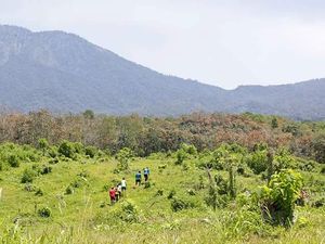 Ayo Jelajahi Ajang Sport Tourism Baru di Banyuwangi Ijen Green Run