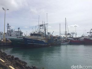 Tolak Moratorium, Dubes RI di Panama: Permintaan ABK RI Tinggi