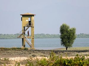Baku Tembak dengan Penjaga Perbatasan Bangladesh, 2 Pengungsi Rohingya Tewas