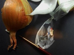 Unik! Seniman Ini Buat Lukisan Micro Art di Atas Kulit Bawang, Biji Anggur hingga Butiran Beras