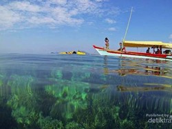 Festival Tahunan Mari Jo Ka Manado 2017 Mulai Digeber