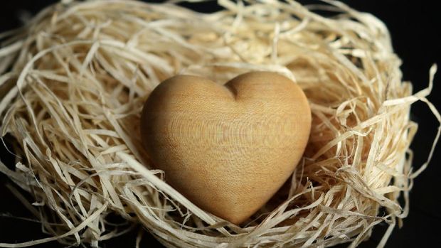 Percobaan: 30 Hari Menjaring Cinta Online