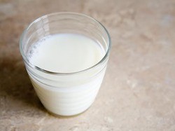 Kampanyekan Hak Hewan, PETA Bikin Penelitian Sosial dengan Susu Anjing