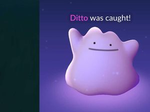 Yuk Tangkap Ditto di Pokemon Go