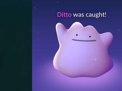 Yuk Tangkap Ditto di Pokemon Go