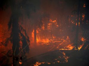 Soal Pembakaran Hutan di Israel, Netanyahu Sebut Pelakunya Teroris